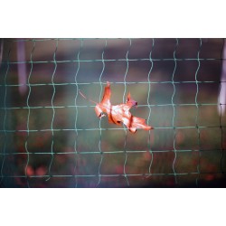 FLICFILM Elektra 100 135/36, exp. 02/25