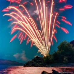 CineStill 800 Tungsten 120