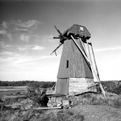 KODAK T-Max TMX 100 135/36