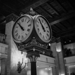 ILFORD XP2 Super 400 120