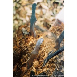 CINESTILL Cs2 ''Cine Simplified'' ECN 2 komplet za 16 filmova