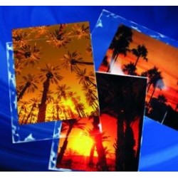 CLEARFILE Archival Storage Page for 8x10"