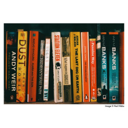 ILFORD Harman Phoenix color 200 135/36