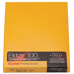 Kodak Ektar 100 4x5"/10