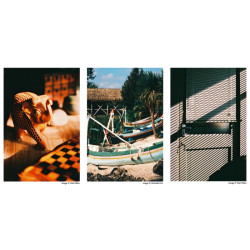 ILFORD Harman Phoenix color 200 120