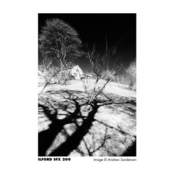 Ilford SFX 200 135/36, exp. 09/24