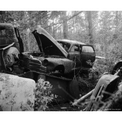 CineStill BWxx 250 120, exp. 02/25