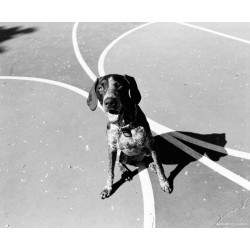 CineStill BWxx 250 120, exp. 02/25