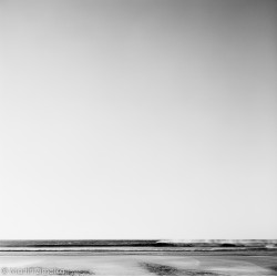 Rollei Ortho 25 120, exp. 12/2024