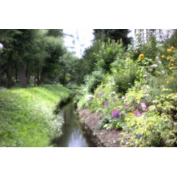 HOLGA Pinhole f/166 HPL-C pro Canon