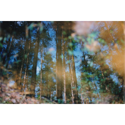 HOLGA 60mm f/8.0 HL-N pro Nikon