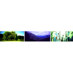 HOLGA 120 PAN, panoramic camera 6x12