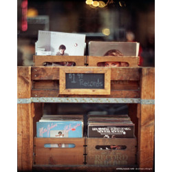 CineStill 400Dynamic 4x5"/25 l