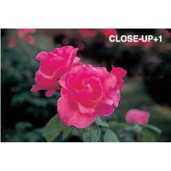 48mm Close Up set MARUMI