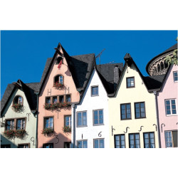 MC/NEO 49mm L-400 Dynamic MARUMI