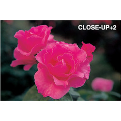 48mm Close Up set MARUMI