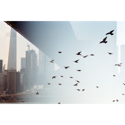 KODAK Professional Portra 400 135/36, v razsutem stanju