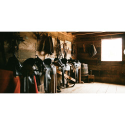 Kodak Portra 160 8x10"/10