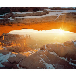 Kodak Portra 400 4x5"/10