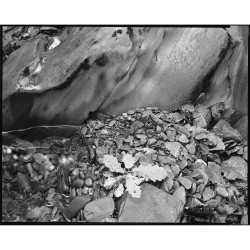 ZONE IMAGING DeFehr´s 510 Pyro 100ml film developer