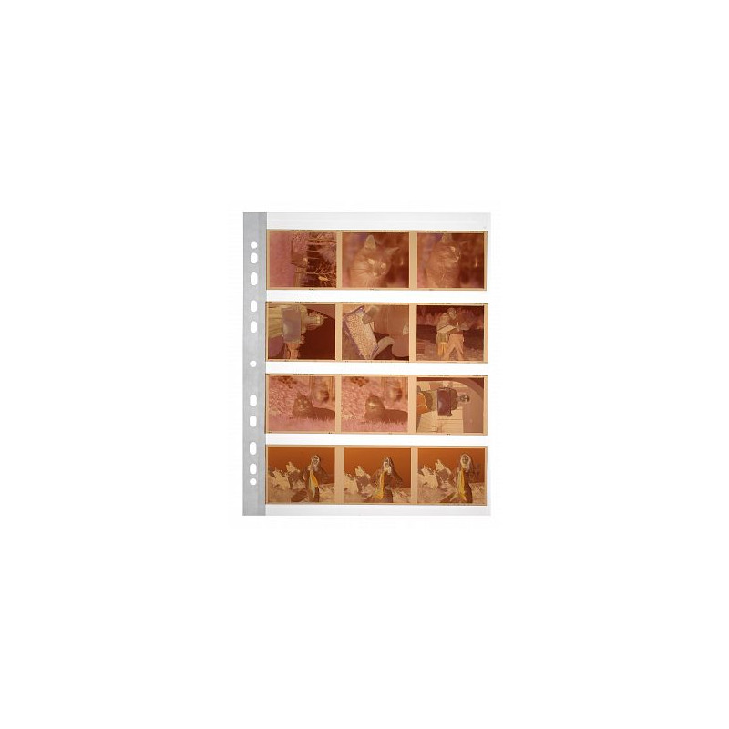 Archival Storage Page for 120 films, acetate