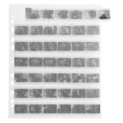 Archival Storage Page for 35mm films, parchment