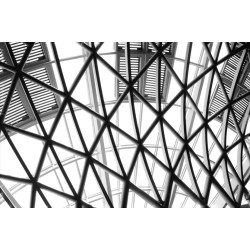 Rollei RPX 400 120, exp. 03/24