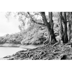 Rollei infrared film infrared 400S 135/36