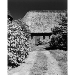 Infrardeči film Rollei infrared 400S 135/36