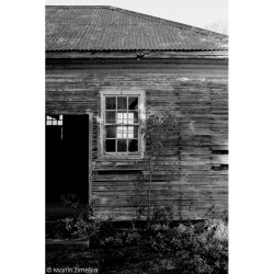 Rollei Ortho 25 135/36