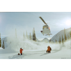 CineStill Xpro 50 Daylight 135/36