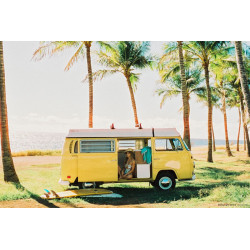 CineStill Xpro 50 dnevno svjetlo 135/36