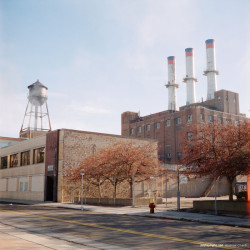 CineStill Xpro 50 Daylight 120