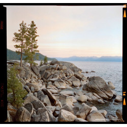 CineStill 400Dynamic 120