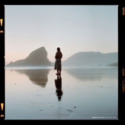 CineStill 400Dynamic 120