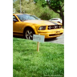 CineStill 400Dynamic 120, exp. 01/25