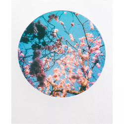 POLAROID 600 Color Round, 8× Instant Film