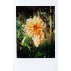 MINT InstantFlex TL70 2.0, fotoaparát pre filmy Instax MINI