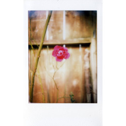 MINT InstantFlex TL70 2.0 Retro Camera for Instax MINI Films