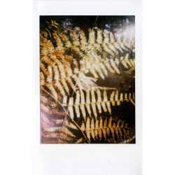 MINT InstantFlex TL70 2.0 Retro Camera for Instax MINI Films