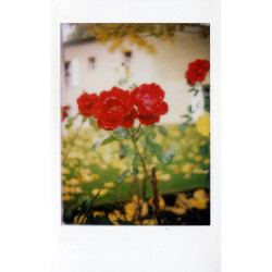 MINT InstantFlex TL70 2.0 Retro Camera for Instax MINI Films