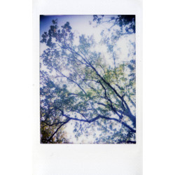 MINT InstantFlex TL70 2.0, fotoaparát pre filmy Instax MINI