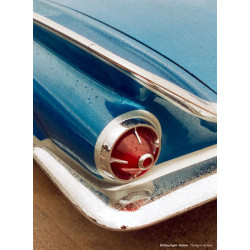 CineStill Xpro 50 Daylight 135/36, exp. 06/25