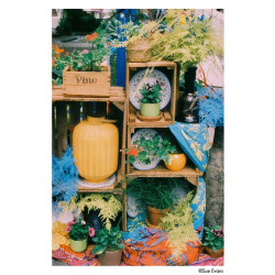 ILFORD HARMAN Phoenix II 200 135/36