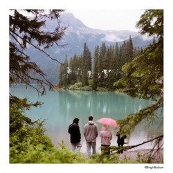 ILFORD HARMAN Phoenix II 200 120