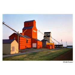 ILFORD HARMAN Phoenix II 200 120