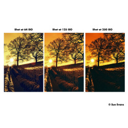 ILFORD HARMAN RED 125 120