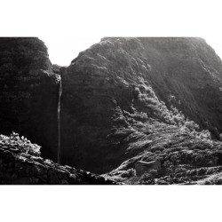 WASHI "Z" 400 135/24