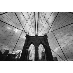 CineStill BWxx 250/135-36