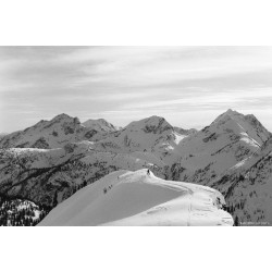 CineStill BWxx 250/135-36